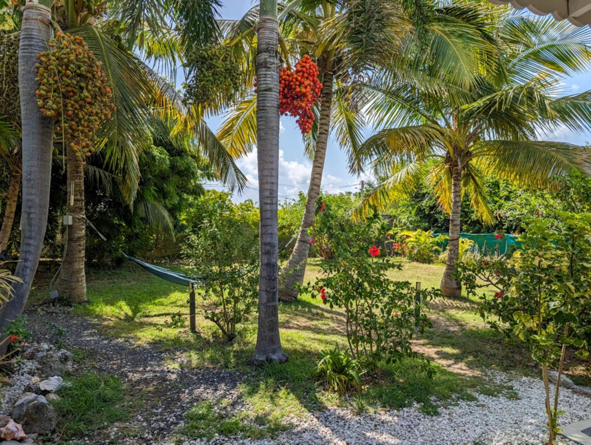 Gite Cannelle Saint-Francois (Grande-Terre) Exterior foto